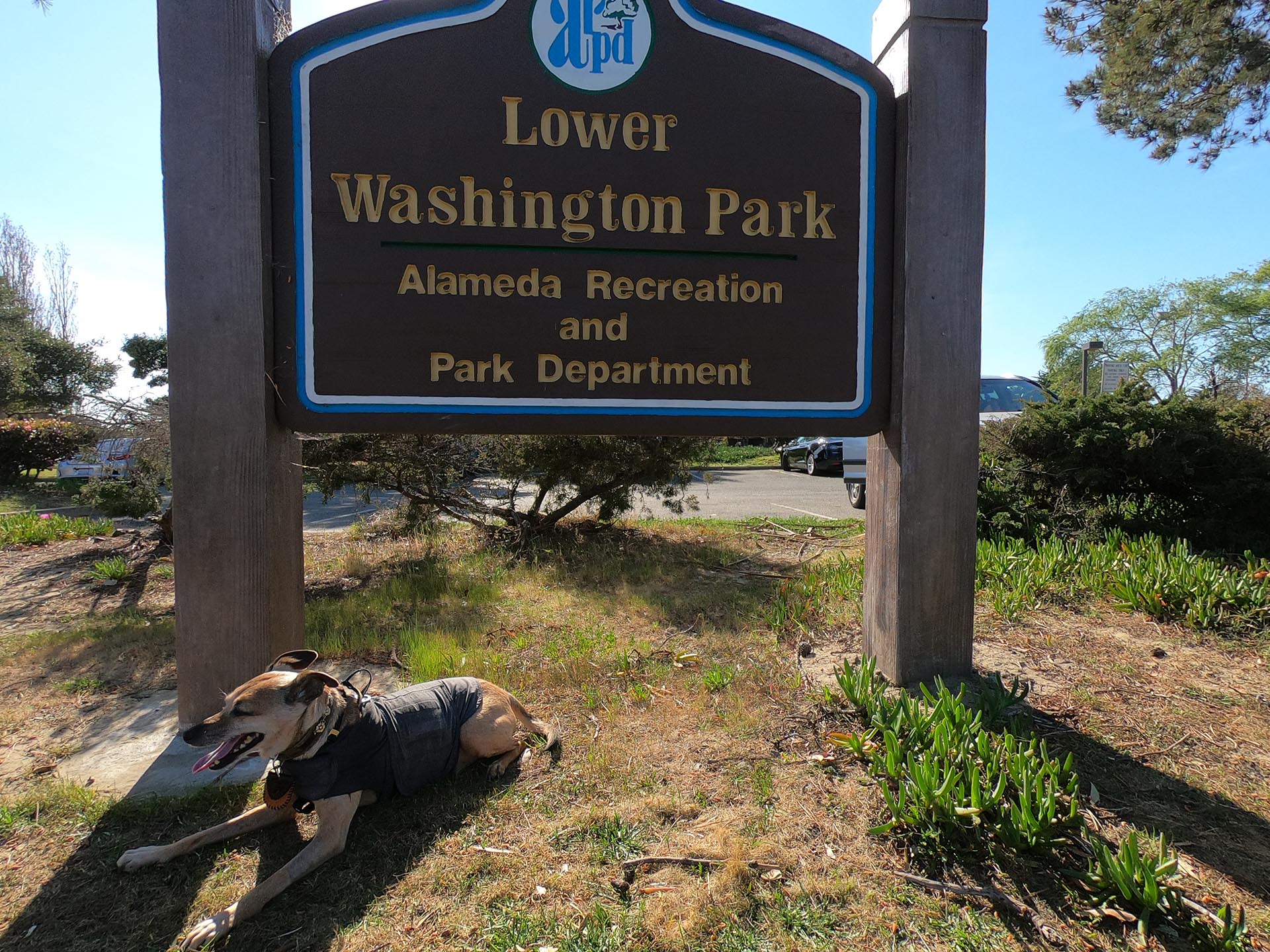 Lower Washington Dog Park: Dogs Not Allowed on Alameda Beach