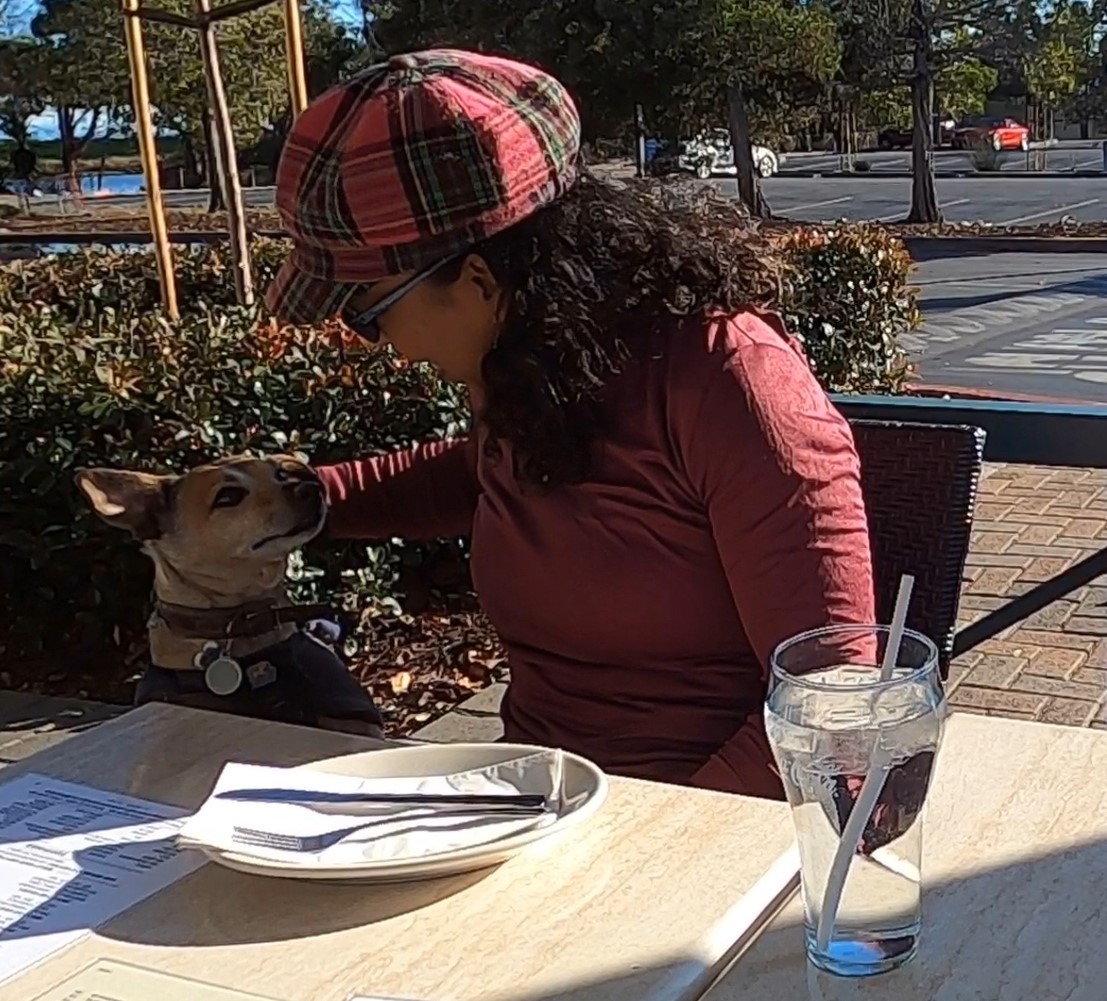 amicis east coast pizzeria redwood city, lovie dance amicis, pet friendly redwood city, pet friendly eats, pet-friendly restaurants