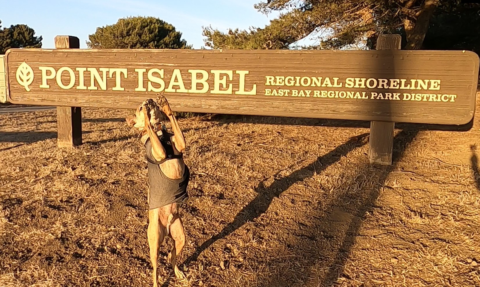 POINT ISABEL DOG PARK: Dog-friendly Contra Costa County East Bay