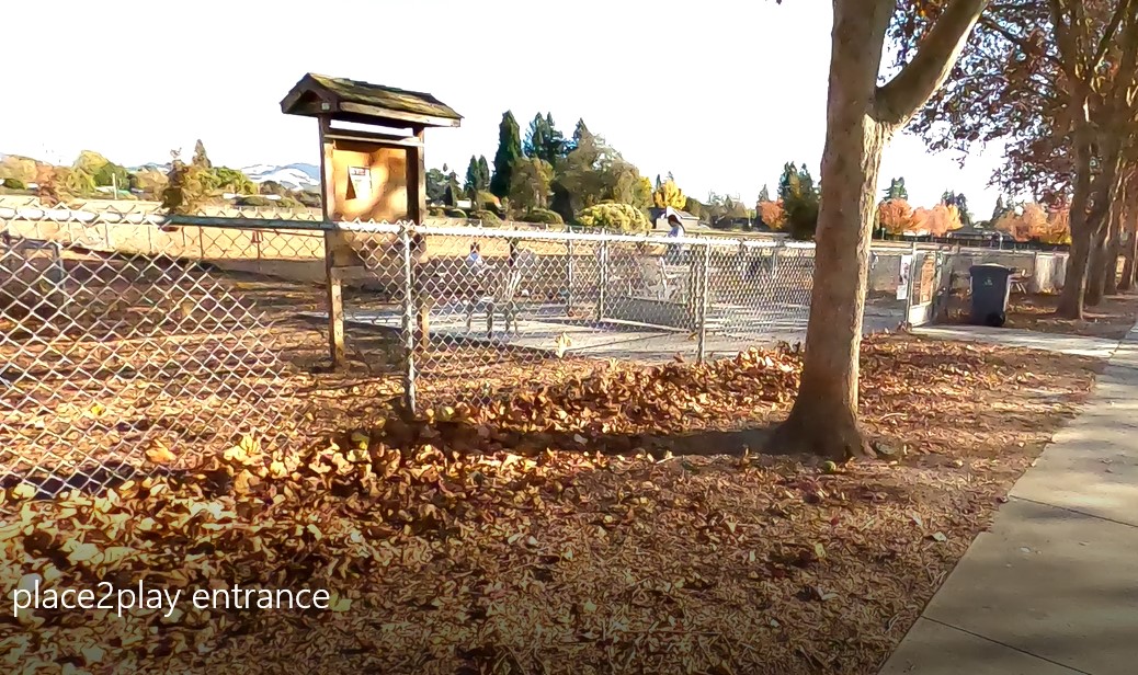 A PLACE TO PLAY DOG PARK: Dog-friendly Santa Rosa Video Review