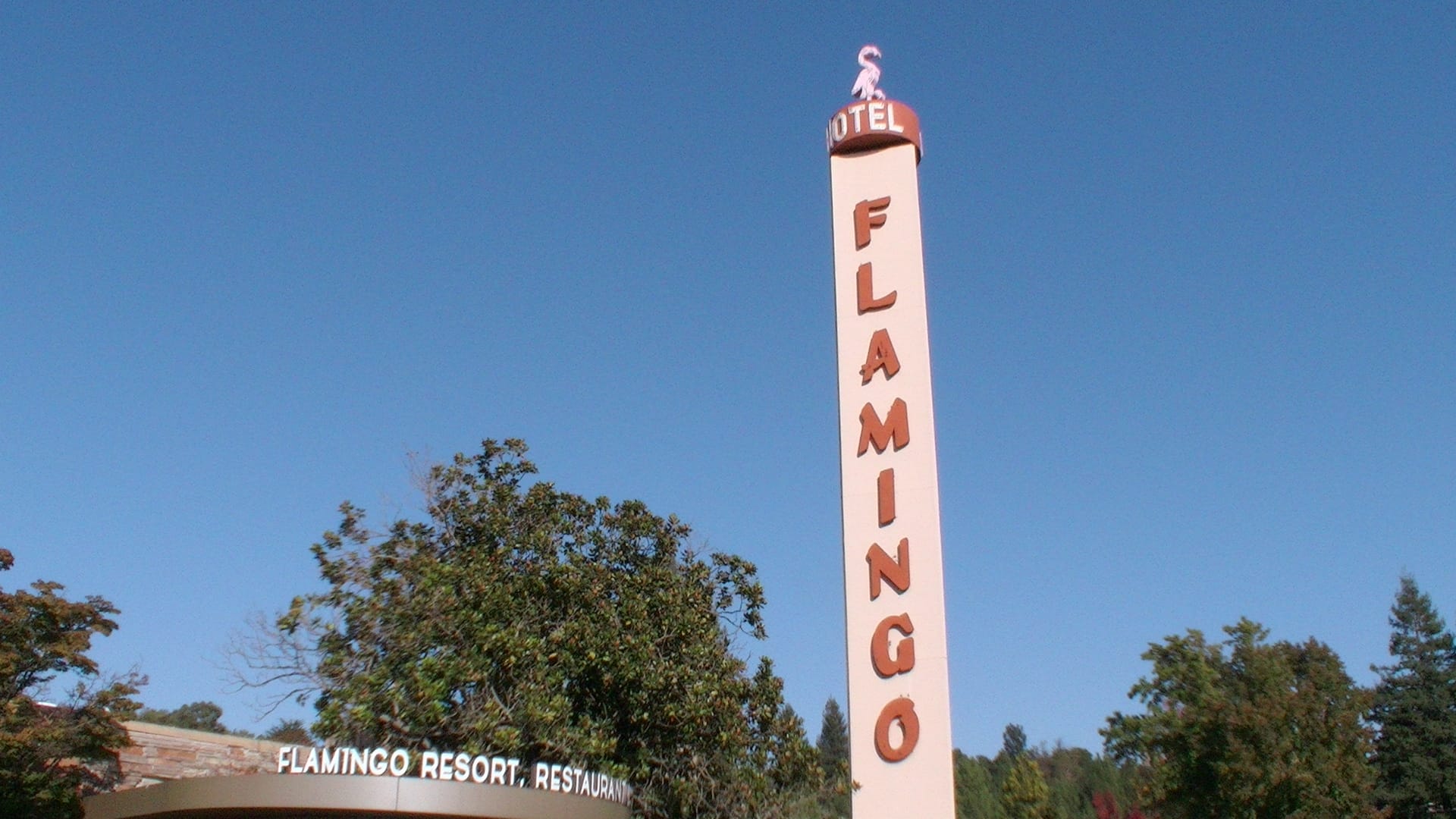 Flamingo Resort, terrace grill, Sonoma County pet-friendly hotel, Sonoma Valley pet-friendly hotel, pet friendly Wine Country, pet friendly santa rosa, pet friendly hotel santa rosa, pet friendly travel, petscango.com