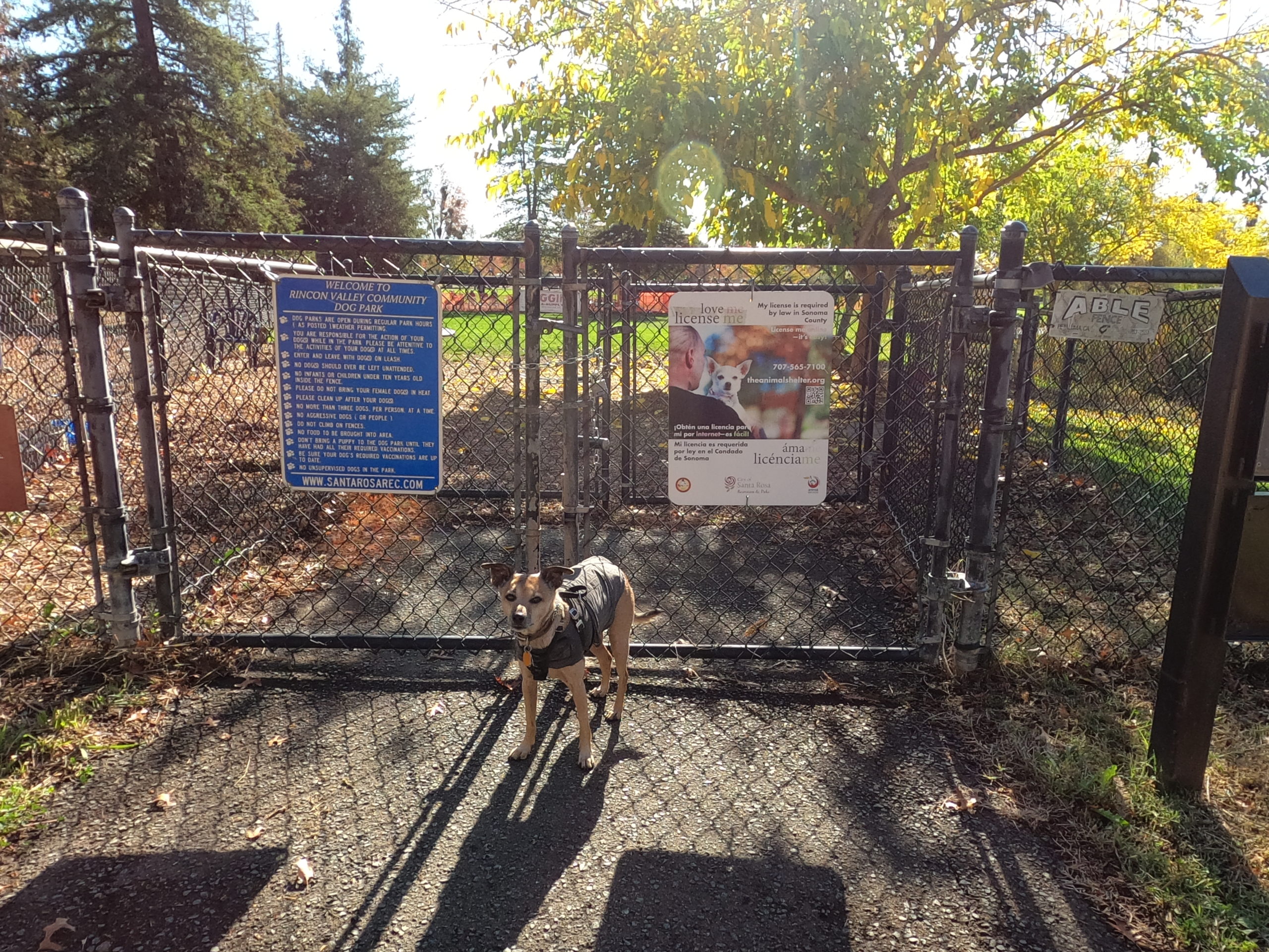 RINCON VALLEY COMMUNITY DOG PARK: Dog-friendly Santa Rosa Video Review