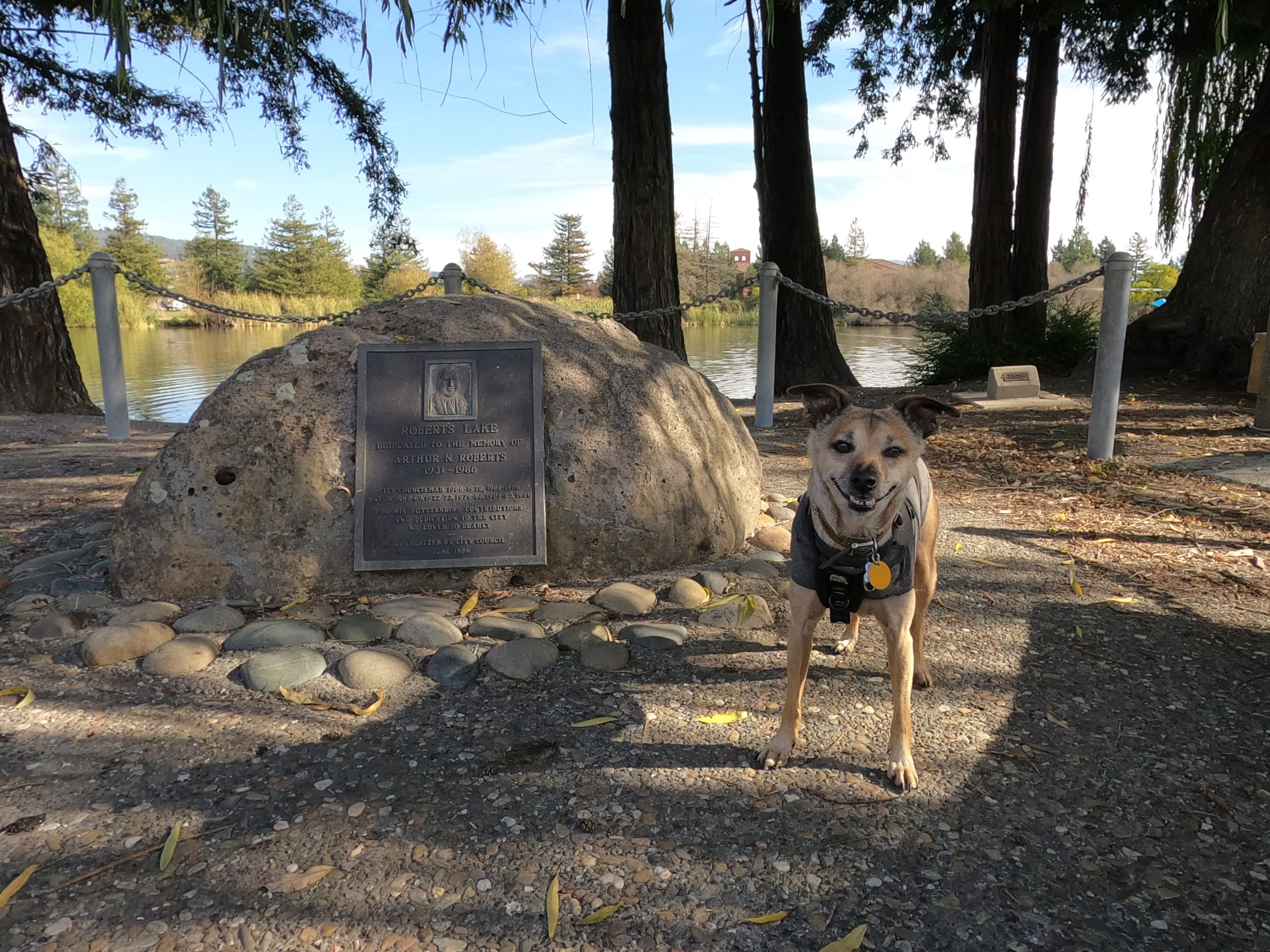 ROBERTS LAKE DOG PARK: Pet-friendly Rohnert Park Sonoma County