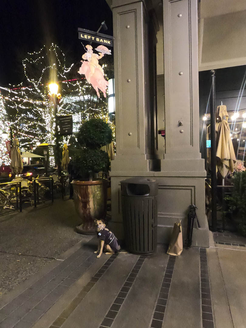LEFT BANK SANTANA ROW: Dog-friendly Restaurants San Jose Silicon Valley