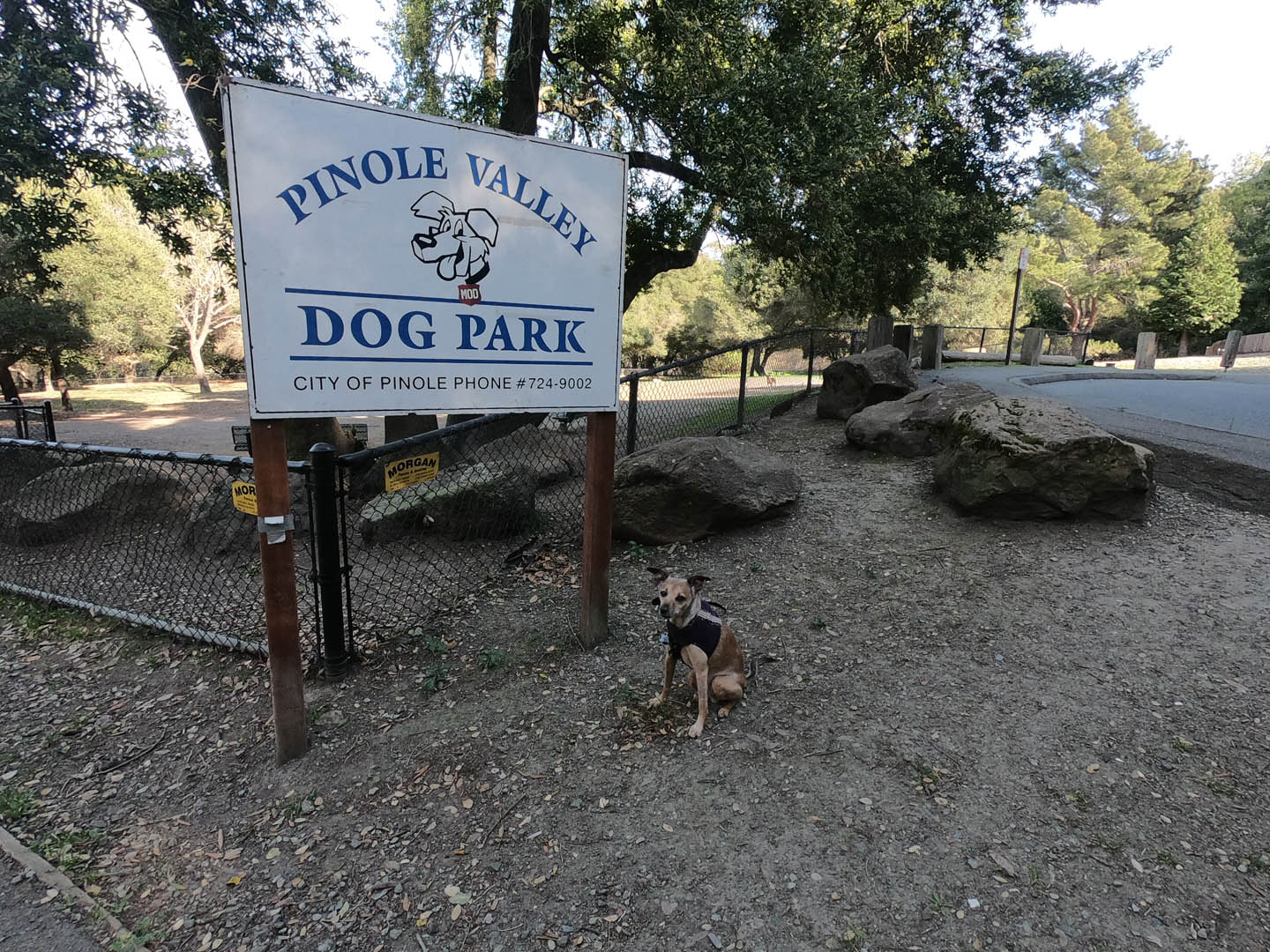 PINOLE DOG PARK: Dog-friendly Contra Costa County East Bay