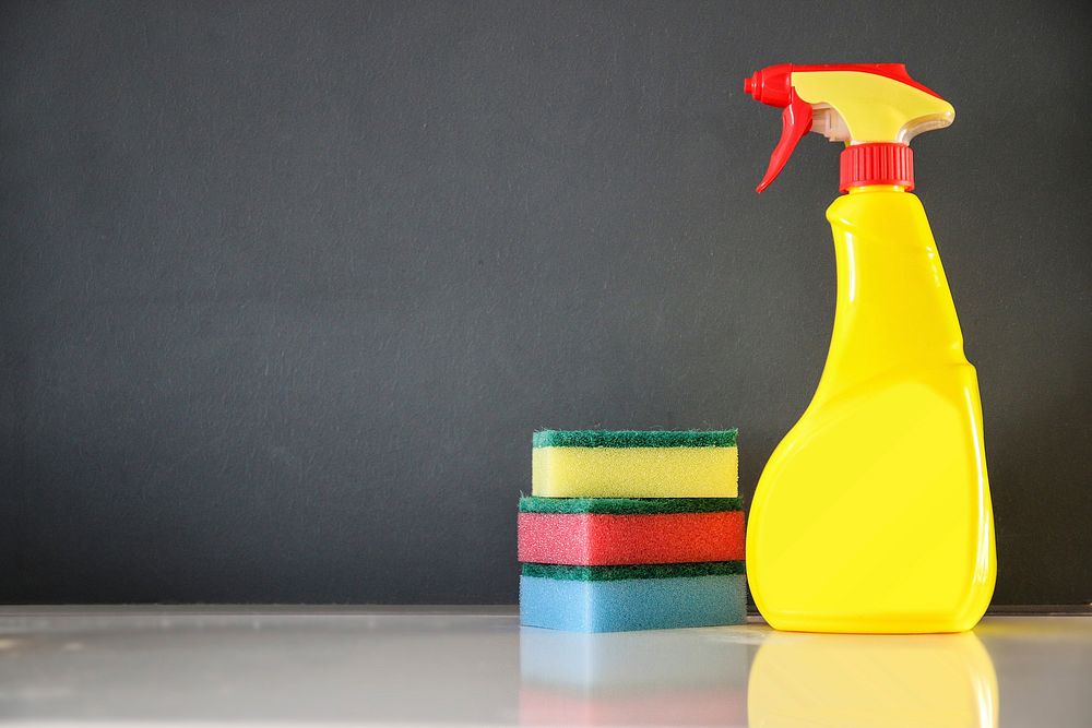 Non-Toxic Cleaning Products for a Pet Safe Home: Crafting a Safe Haven: