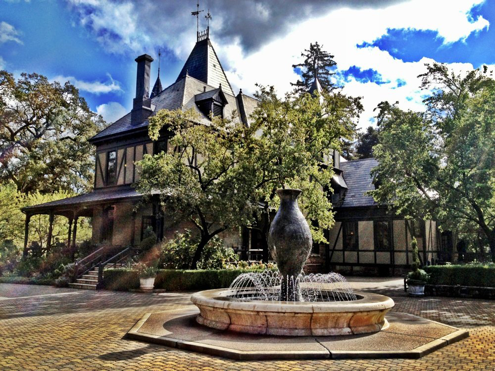 Dog-Friendly St. Helena CA in Wine Country