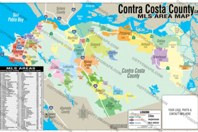 Contra Costa County Dog-friendly Guide: Historical Insights & Insider Highlights