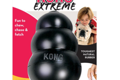 Extreme Chew Toy Review for Garden Agility – Kong Durability & Course Suitability