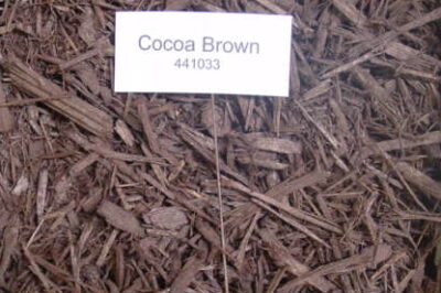 Cocoa Mulch Dangers & Safe Cedar Alternatives: Non-Toxic Risks Uncovered