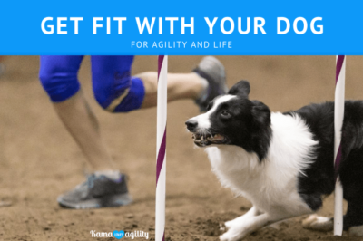 Dog Fitness Programs: Weight Loss, Health Trackers & Sports Gear