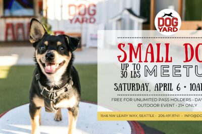 Dog Park Ins & Outs: Breed Specific Playdates & Special Needs Groups