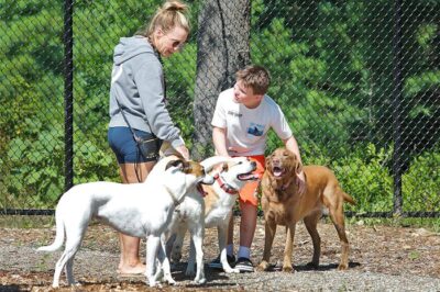 Dog Park Integration Guide: Insider Reviews, Relocation Tips & Community Insights