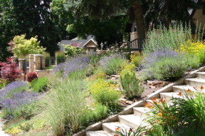 Xeriscaping Popularity in Florida: Pet-Safe Planting & Weather-Resilient Pet Areas Explained