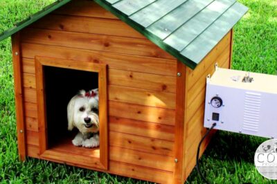 DIY Insulated Dog House Plans: Building A Pet Safe Haven for Year-Round Comfort