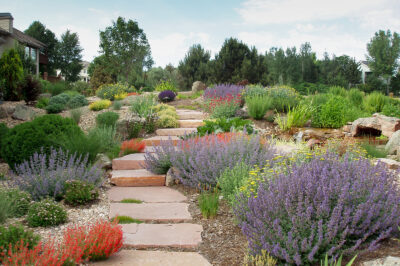 Best Pet-Friendly Xeriscape: Sustainable Colorado Landscaping for Diverse Soils & Weather