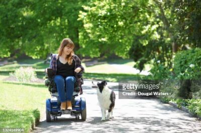 Accessible Dog Park Alternatives for Disabled Owners & Handicapped Pets