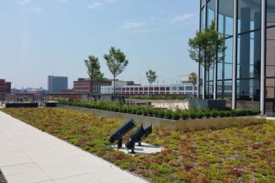 Cedar Mulch for Space Efficient Urban Gardens – Rooftop, Balcony & Vertical Blends