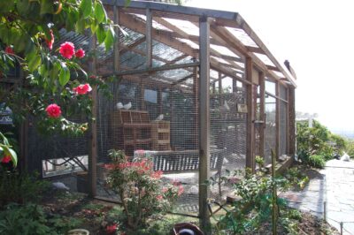 Outdoor Aviary Design: Weather-Proofing, Bath & Feeding Station Plans