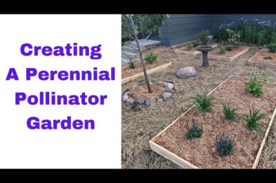 Pet-Safe Cedar Mulch for Pollinator-Friendly Gardens & Perennial Beds