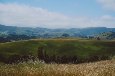 Petaluma Off Leash & Fenced Dog Parks Near Me