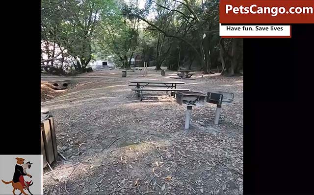 pinole valley park picnic area with barbecue pits