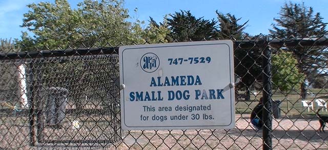 lower washington dog park alameda small dog sign