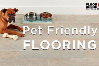 Best Pet Friendly Flooring: Traction & Pee Resistant Options for Dogs & Rabbits