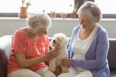 Pet Friendly Assisted Living Facilities & Pet Care Tips In Care Homes