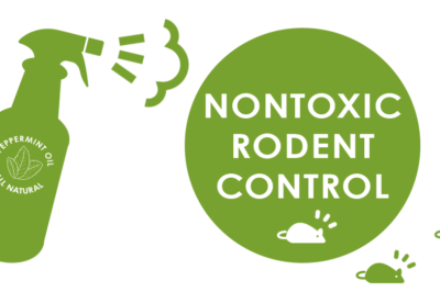 Pet Safe Rat Poison: Homemade Rodenticides & Nontoxic Bait