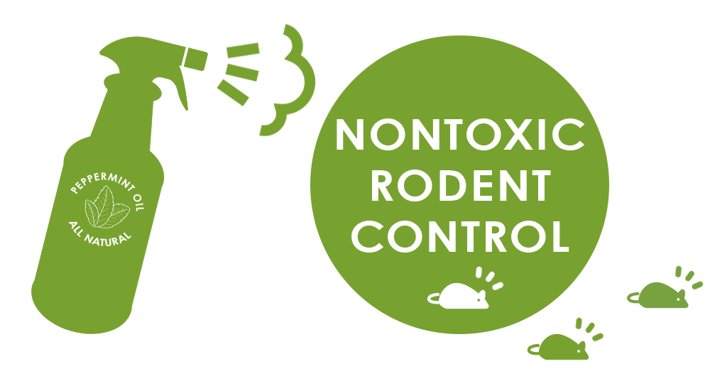 Pet Safe Rat Poison: Homemade Rodenticides & Nontoxic Bait
