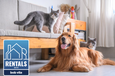 Pros & Cons of Pet-Friendly Rental Property: Are Pet Owners Better Tenants?