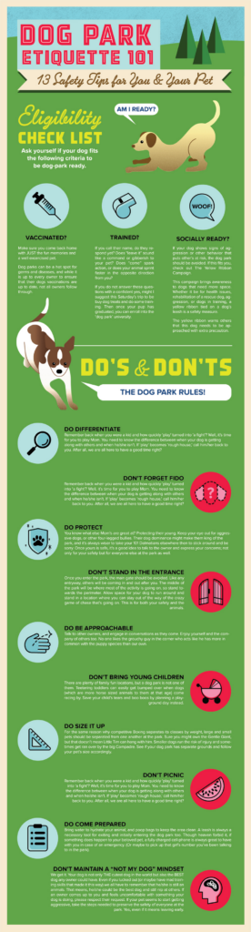 dog park etiquette 101 & safety tips