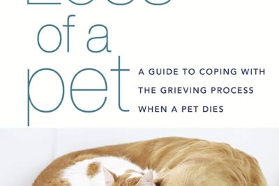 Pet Loss Syndrome: Coping, What to Say & Why It Hurts So Much