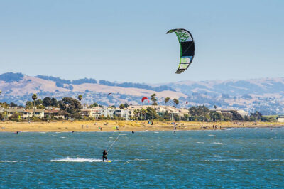 Calming & Socializing Overstimulated Adult Dogs at Alameda Dog-Friendly Beach