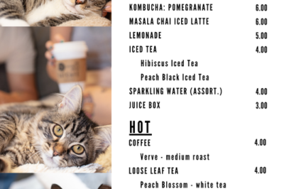 Cat Cafe Tips: How to Socialize a New Rescue Cat with Other Cats