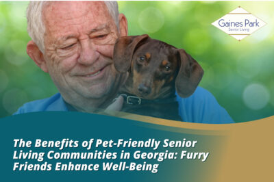 Pet-Friendly Senior Living Amenities: Dogs Allowed at Assisted Living?