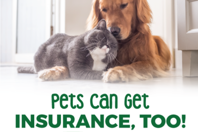 Pet Insurance Pros & Cons for Gardeners & Dog Parks