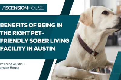 Life After Addiction: Sober Living with Pets