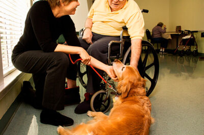 Making a Dog a Therapy Dog for Aging Parent in Memory Care Guide