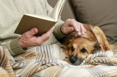 How Pets Can Help Slow Down Cognitive Decline