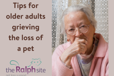 Pet Loss Support & Coping Strategies for Seniors