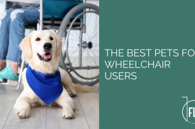 Best Pets for Disabled Person: Top Options & Considerations