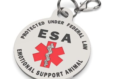 New Federal Rules on Emotional Support Animals for STRs