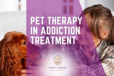 Different Animal-Assisted Intervention for Addiction Rehab & Recovery