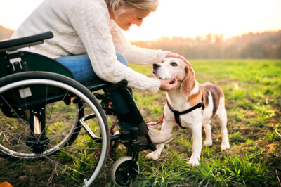 Pet Health Care Tips in Assisted Living Facilities