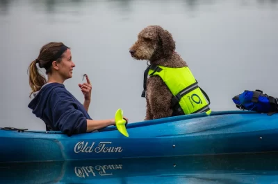 Big Dog Kayaking Tips & Guide: How to Kayak Safely