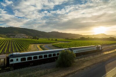 Napa Valley Wine Train Pet Policy v Other Trains & Napa in General