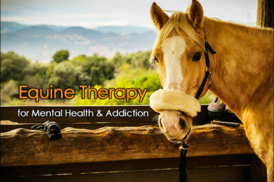 Equine-Assisted Therapy Effectiveness for Substance & Addiction Rehab