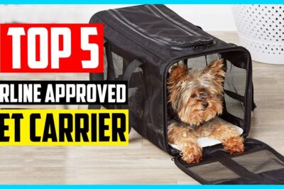 TSA & Airline Approved Pet Carriers: Options, Sizes & Alternatives